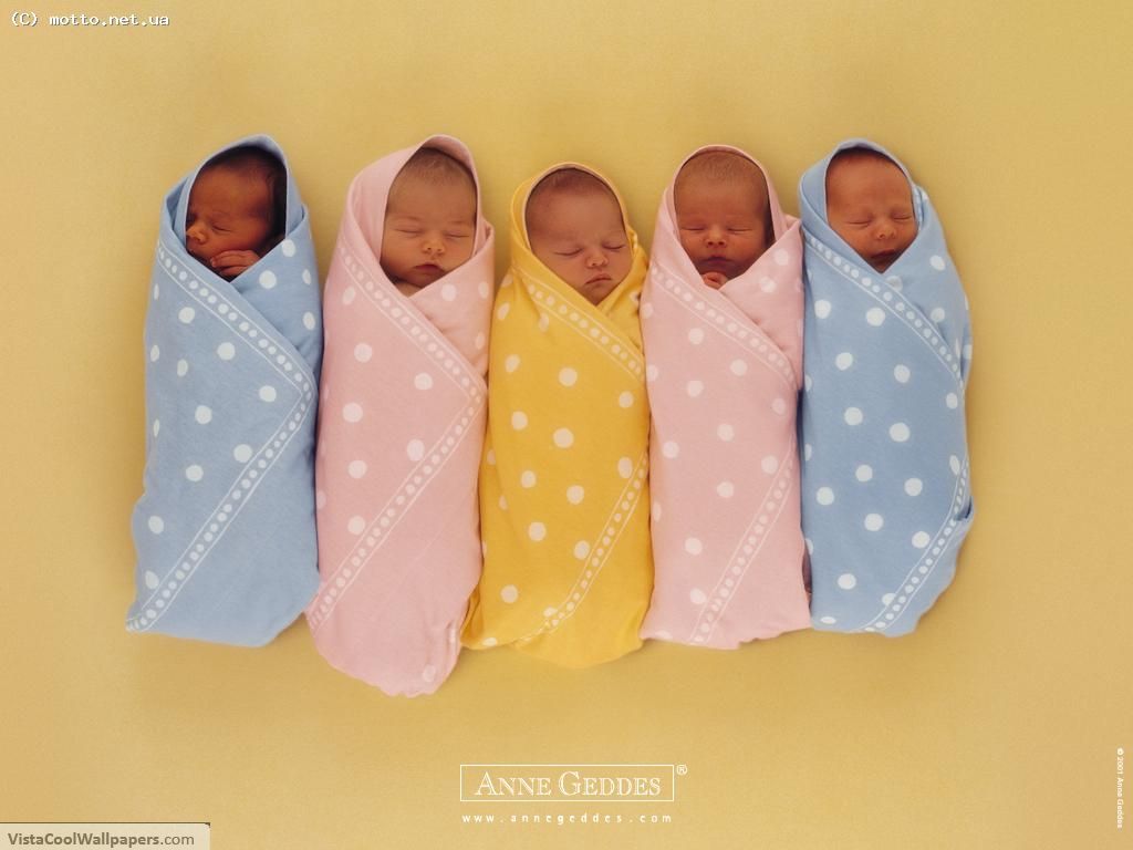 Modern infant clothes Tax Free Shopping, Portland's Baby Registry, Strollers, Car Seats, Nursery Furniture, Toys, Gifts, Hip Clothing, Organic Clothing & More.